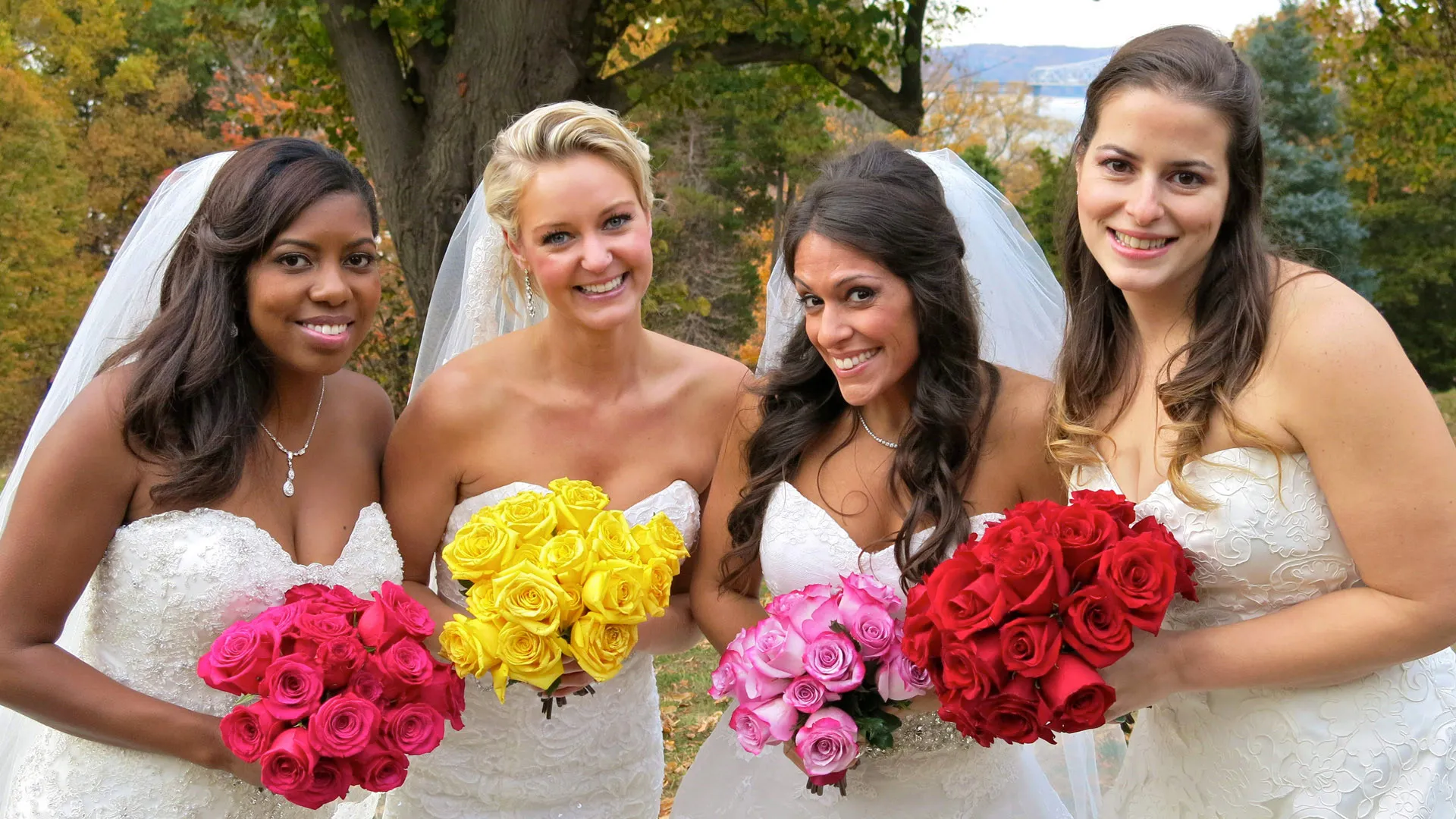 Four (Hundred and Thirty-Two) Weddings